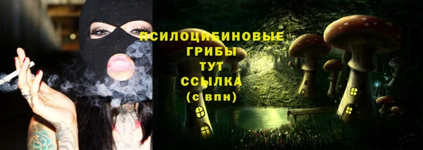 ПСИЛОЦИБИНОВЫЕ ГРИБЫ Аркадак