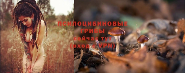 гидра Армянск