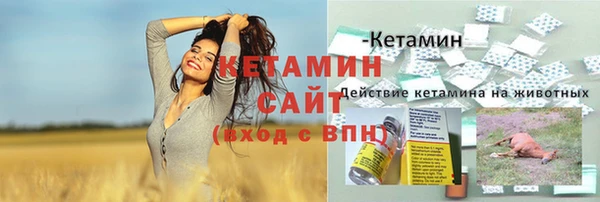 гидра Армянск