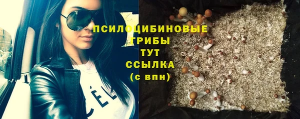 ПСИЛОЦИБИНОВЫЕ ГРИБЫ Аркадак