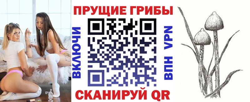 Псилоцибиновые грибы Psilocybe Купить где Ельня