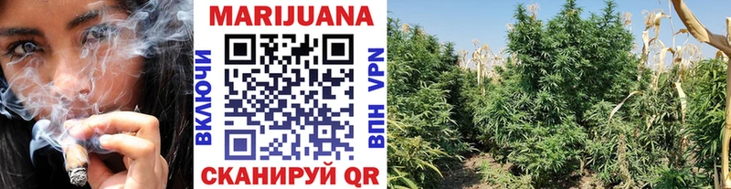 Канабис SATIVA & INDICA Ельня